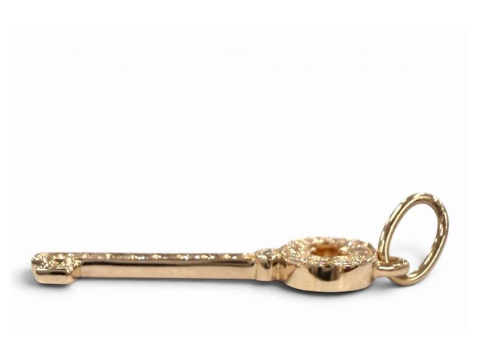 Tiffany & Co Pendente Mini Tiffany Vintage Oval Key Diamond - vista 4