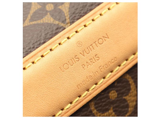 Louis Vuitton Sac Chien Monogram Marrone Pet Carrier 50 - vista 4