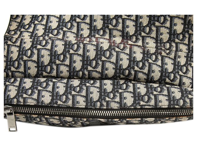 Borsa a tracolla Dior Blue Alex Foxton Oblique Canvas Saddle - vista 8