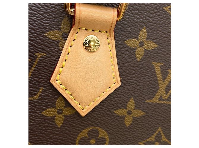 Borsa Louis Vuitton Monogram Speedy Bandoulière 20 Marrone - vista 10