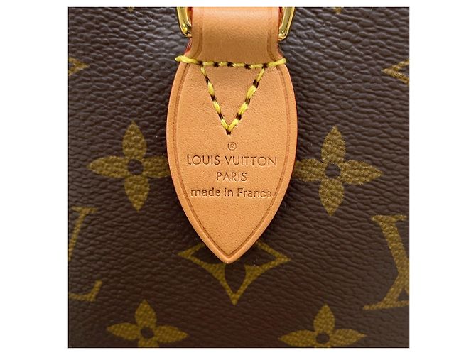 Borsa Louis Vuitton Monogram Speedy Bandoulière 20 Marrone - vista 16