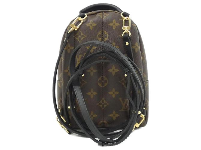 Zaino Louis Vuitton Monogram Palm Springs MINI Marrone - vista 2