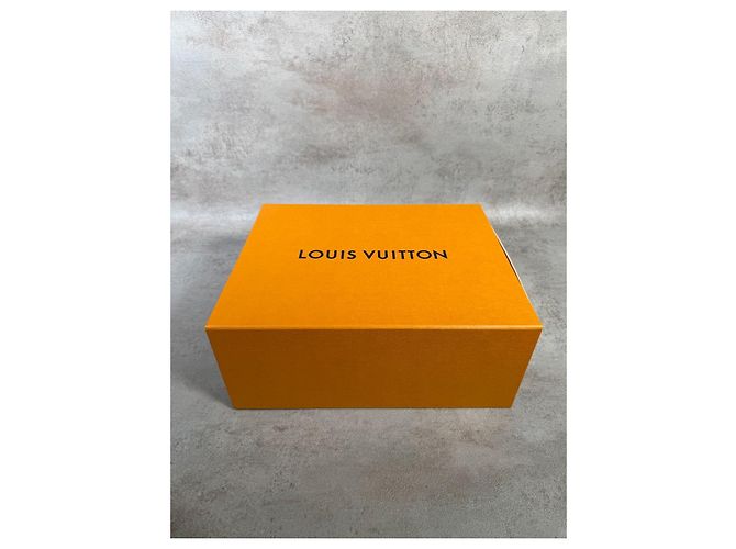 Louis Vuitton LV Trainer Monogram in Rilievo - Grigio/Bianco - vista 20