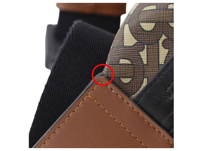 Bolso de cintura Burberry Brown Monogram Stripe E-Canvas Castaño - vista 14