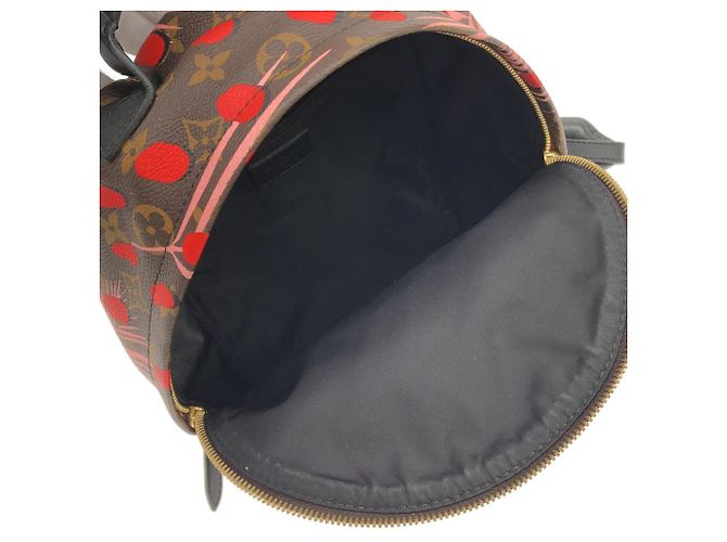 Louis Vuitton Monogram Summer Jungle Dot Palm Springs Backpack PM Rosa Arancione - vista 9