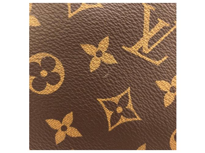 Borsa Louis Vuitton Monogram Atlantis GM Marrone - vista 4