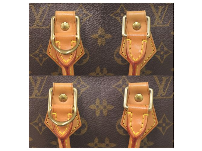Borsa Louis Vuitton Alma Monogram Marrone Monogramma - vista 8