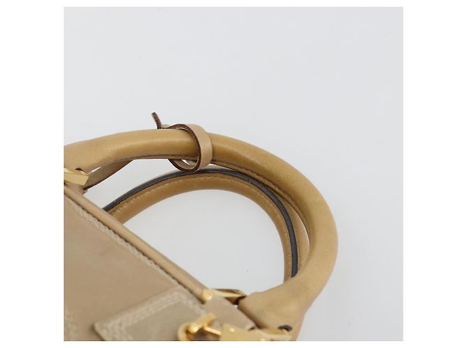 Borsa a mano LOEWE Amazona 28 in pelle nappa Gold Auth ka4571A D'oro - vista 8