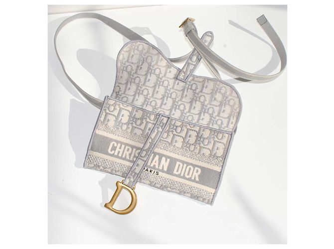 Borsa Dior Saddle in tela Dior Oblique Beige Grigio - vista 5