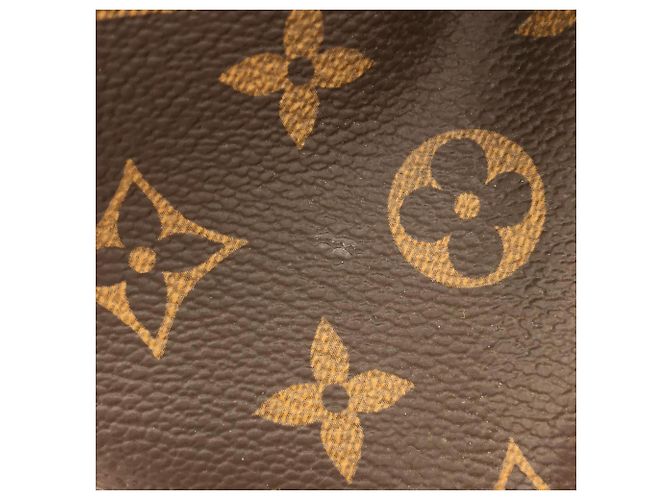 Borsa Louis Vuitton Monogram Atlantis GM Marrone - vista 5