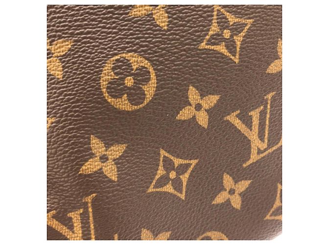 Borsa Louis Vuitton Monogram Atlantis GM Marrone - vista 6