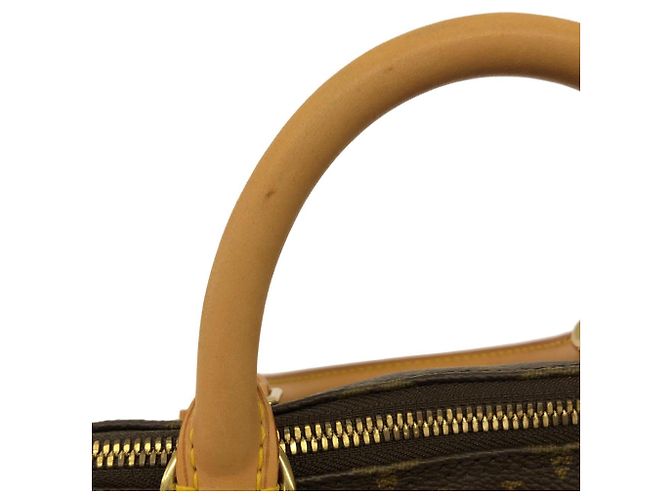 Borsa Louis Vuitton Monogram Alma PM Marrone - vista 8