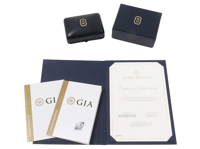 Orecchini a lobo in platino con taglio rotondo Harry Winston - vista 14