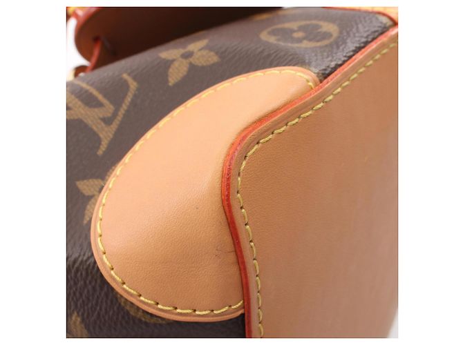 Noe Borsa a Spalla Louis Vuitton Noé Monogram Marrone Monogramma - vista 6
