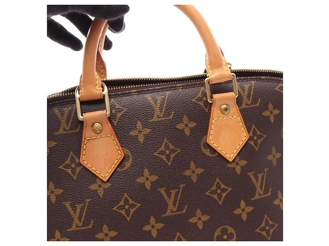 Borsa Louis Vuitton Alma PM Marrone - vista 6