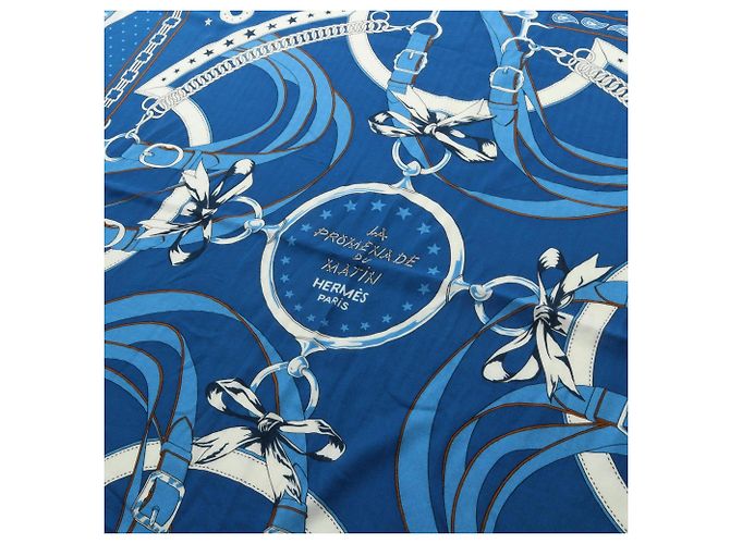 Hermès Sciarpa Hermes Carre Geant 140 LA PROMENADE DU MATIN Blu - vista 2