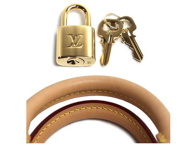 Borsa a Spalla Louis Vuitton Speedy Bandoulière 20 Beige - vista 5