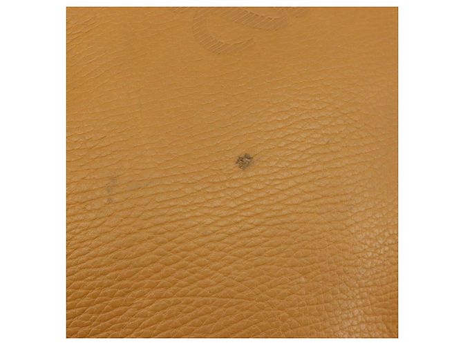 LOEWE Anagram Amazona 40 Hand Bag Pelle Beige Oro Autentico 182640 - vista 11