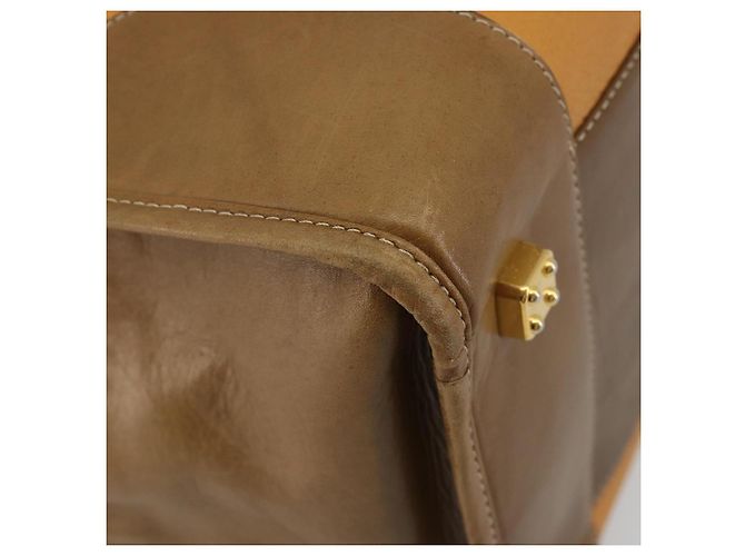 LOEWE Anagram Amazona 40 Hand Bag Pelle Beige Oro Autentico 182640 - vista 16