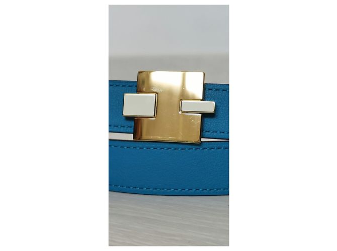 Cintura Hermès Reversibile 24mm Pelle Blu e Bianca Oro Bianco - vista 13