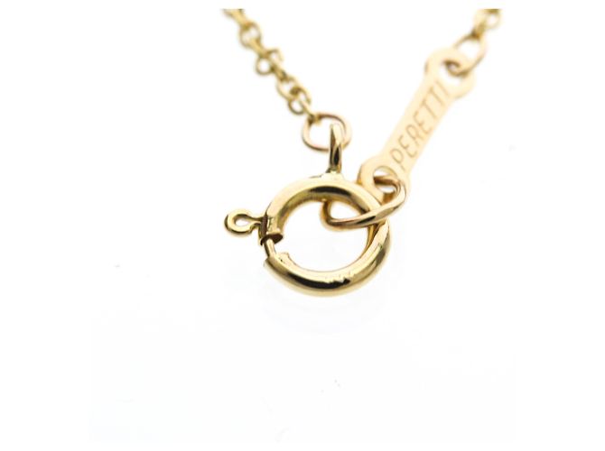 Tiffany & Co Collana mela Tiffany in oro giallo 18K D'oro - vista 12
