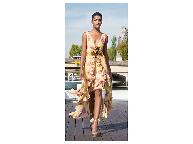 Emanuel Ungaro Ungaro Plissee-Kleid mit gelbem Blumenmuster und Rüschen Pink - Ansicht 7