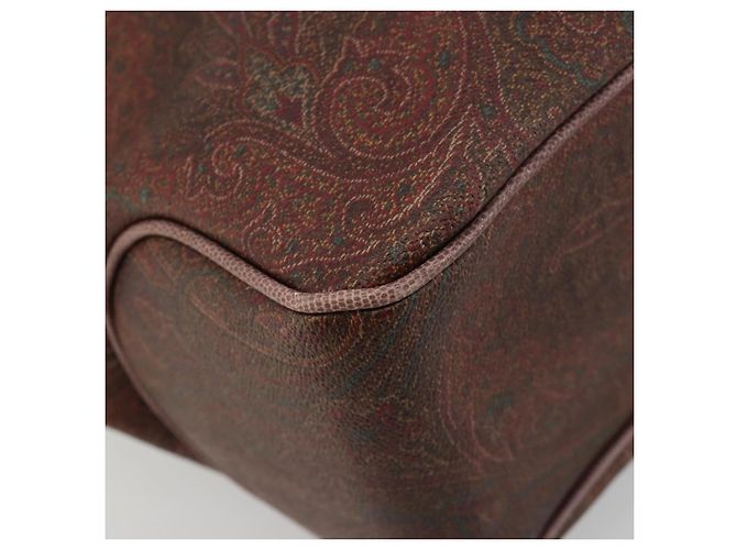 Borsa ETRO in PVC e pelle marrone oro Auth 183273A D'oro - vista 14