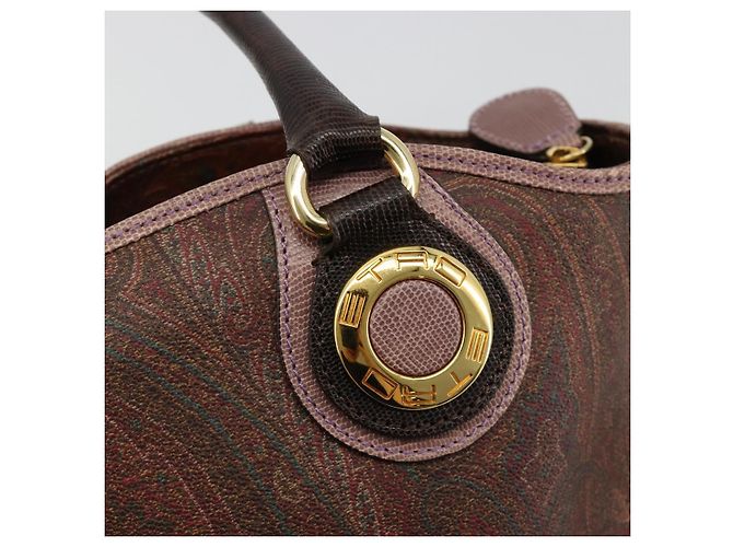 Borsa ETRO in PVC e pelle marrone oro Auth 183273A D'oro - vista 17