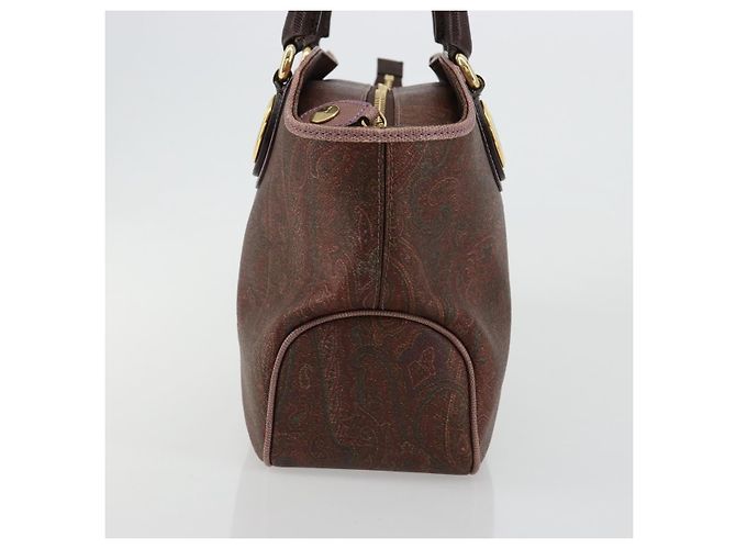 Borsa ETRO in PVC e pelle marrone oro Auth 183273A D'oro - vista 3