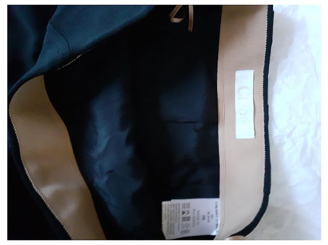 Falda Chloé de viscosa negra Negro - vista 5