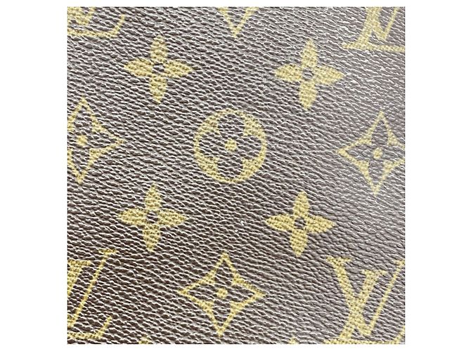 Borsa Tote Cabas Mezzo Monogram Louis Vuitton Marrone - vista 14
