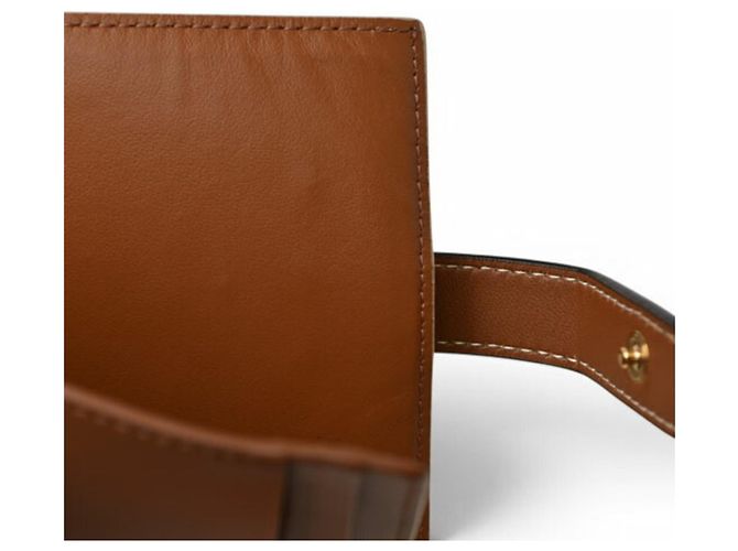 Triomphe Céline Portafoglio bi-fold Celine in avorio e marrone Crudo - vista 13