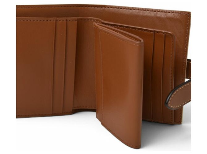Triomphe Céline Portafoglio bi-fold Celine in avorio e marrone Crudo - vista 9