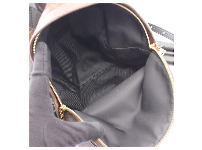 Zaino/Borsa Louis Vuitton Palm Springs PM Marrone Nero - vista 3