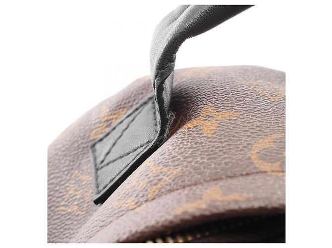 Zaino/Borsa Louis Vuitton Palm Springs PM Marrone Nero - vista 8