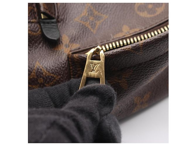 Zaino/Borsa Louis Vuitton Palm Springs PM Marrone Nero - vista 9