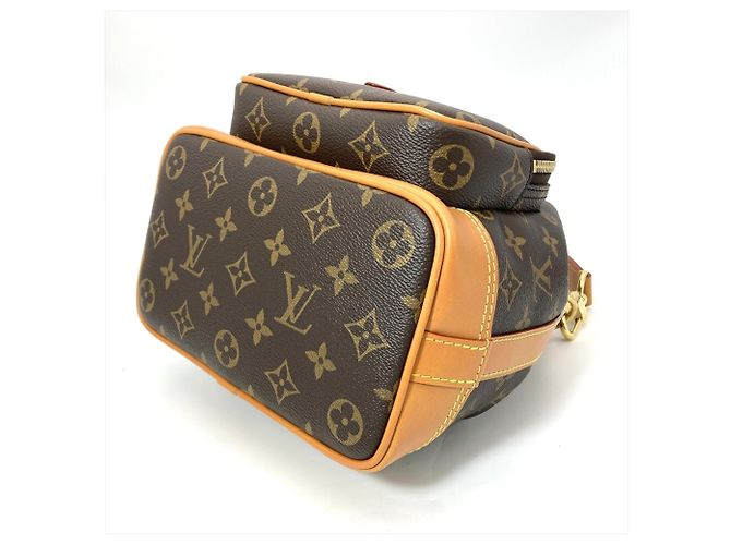 Borsa a Spalla Louis Vuitton Noe Cargo Marrone - vista 4