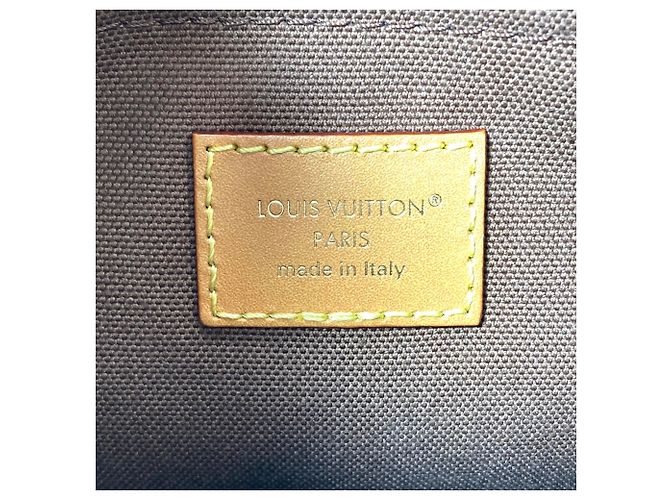 Borsa a Spalla Louis Vuitton Noe Cargo Marrone - vista 7