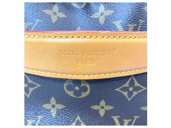 Borsa a Spalla Louis Vuitton Noe Cargo Marrone - vista 8