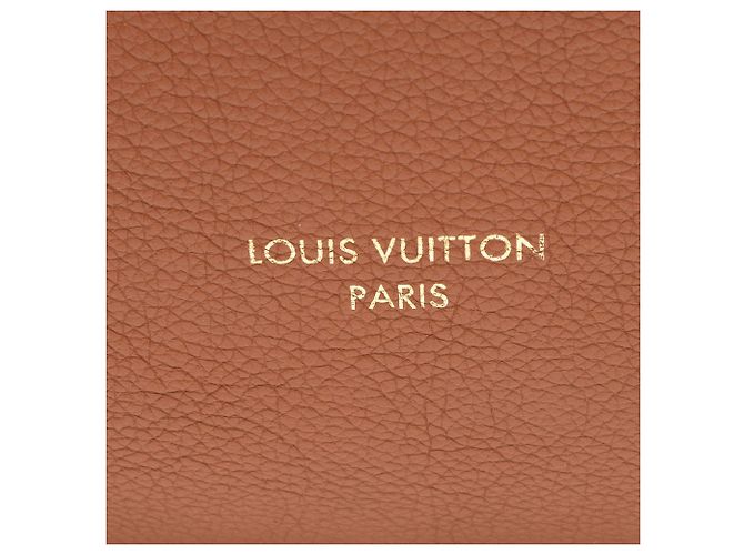 Hobo Low Key MM in pelle di vitello Louis Vuitton Marrone - vista 8
