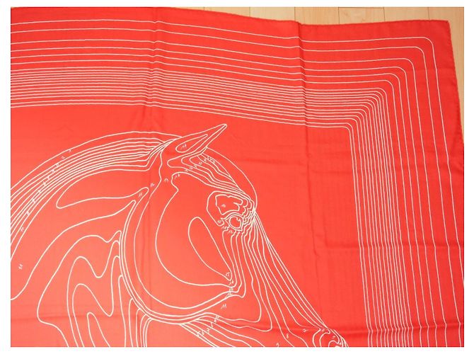 Hermès Sciarpa Hermes Pegase Paysage 140 cm Cachemire e seta sciarpa stola rossa Pegasus 56" AUC82786_0430 Rosso - vista 3