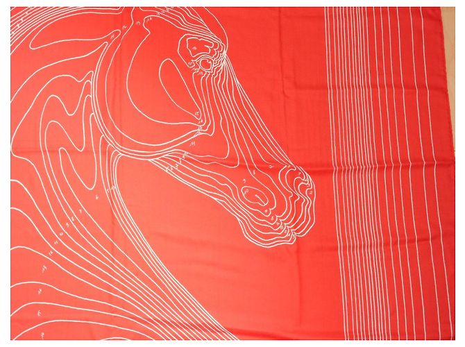 Hermès Sciarpa Hermes Pegase Paysage 140 cm Cachemire e seta sciarpa stola rossa Pegasus 56" AUC82786_0430 Rosso - vista 4
