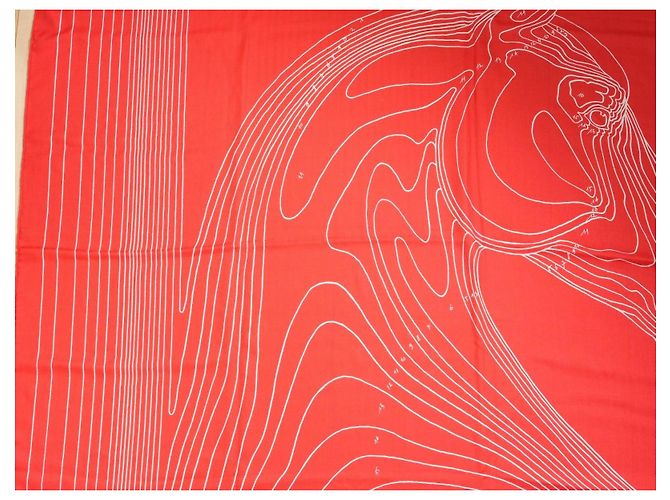 Hermès Sciarpa Hermes Pegase Paysage 140 cm Cachemire e seta sciarpa stola rossa Pegasus 56" AUC82786_0430 Rosso - vista 8