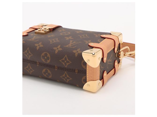 Louis Vuitton Borsa a tracolla Side Trunk PM in tela Monogram Marrone - vista 3