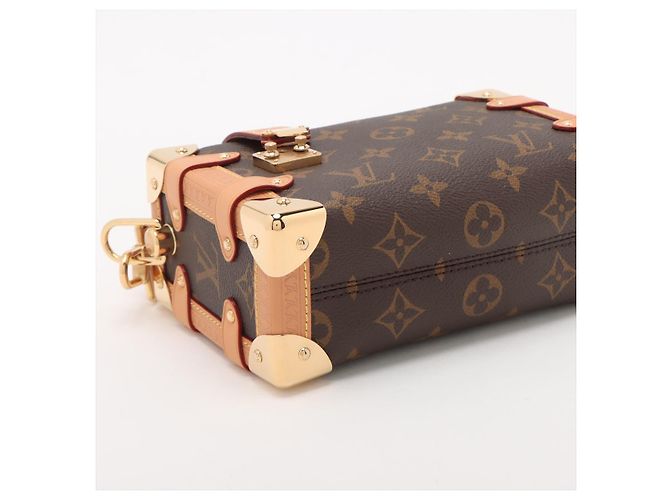Louis Vuitton Borsa a tracolla Side Trunk PM in tela Monogram Marrone - vista 4