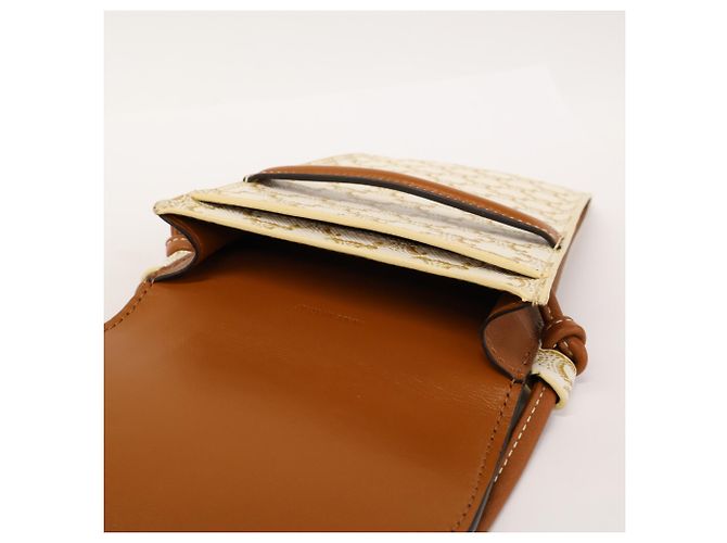 Céline Borsa a Spalla Pochette Mobile Triomphe Celine Marrone Bianco - vista 7
