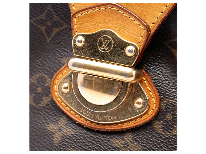 Louis Vuitton Marrone Monogram Stresa GM - vista 5
