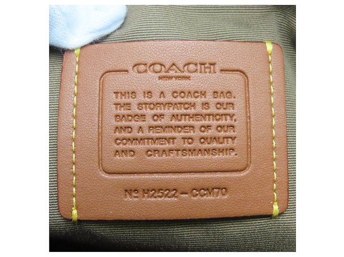 Bolso de mano de cuero Coach Sadie Satchel - vista 16