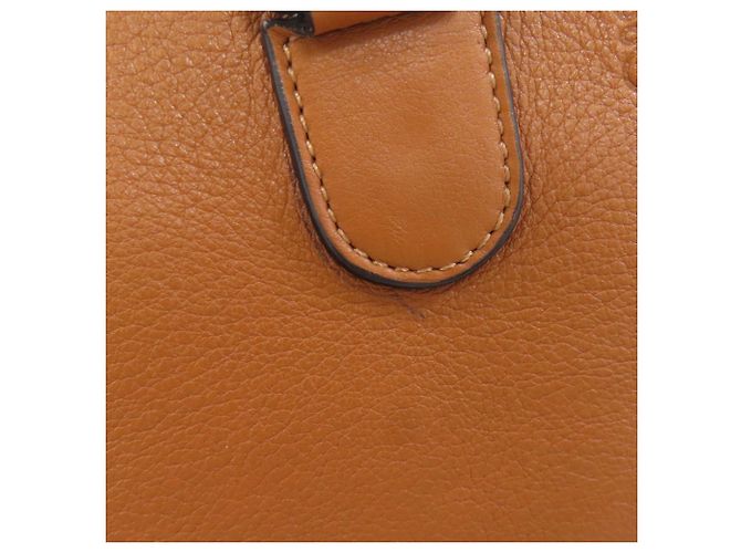 Borsa 2-Way Loewe Amazona Marrone - vista 11