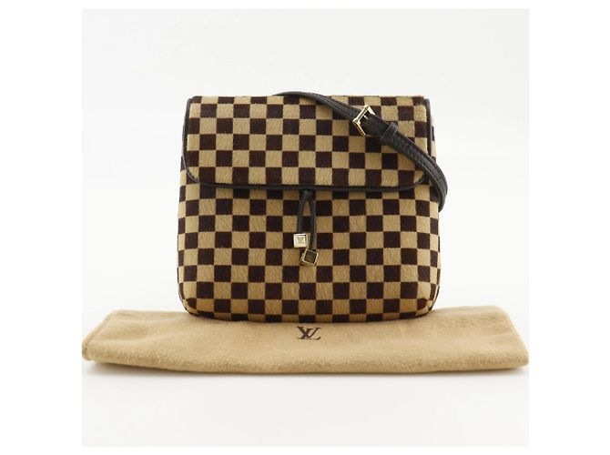 Bolso de hombro Louis Vuitton Gazelle en Damier Sauvage Castaño - vista 18